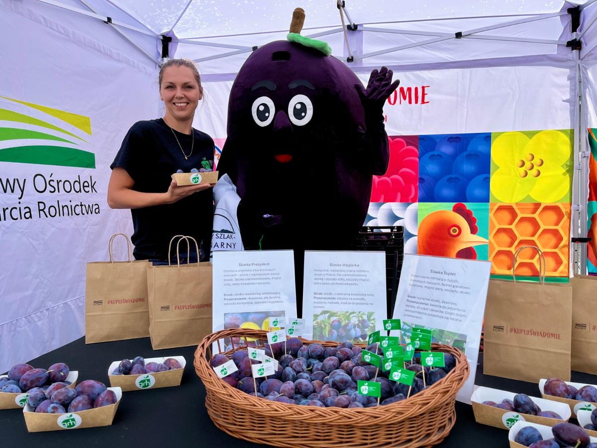 Galeria zdjęć: Nocny Szlak Kulinarny 2025