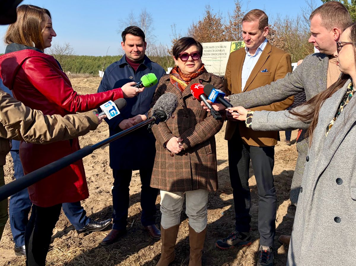 Galeria zdjęć: Sadzenie sadu Renety Landsberskiej