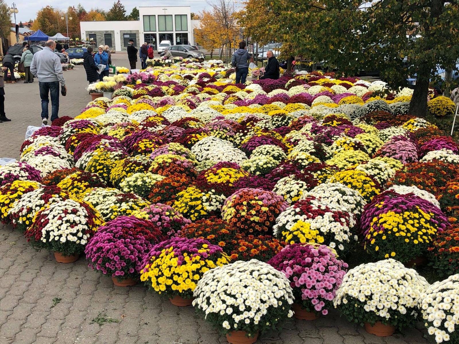 Zdjęcie: Ogłoszenie o licytacji