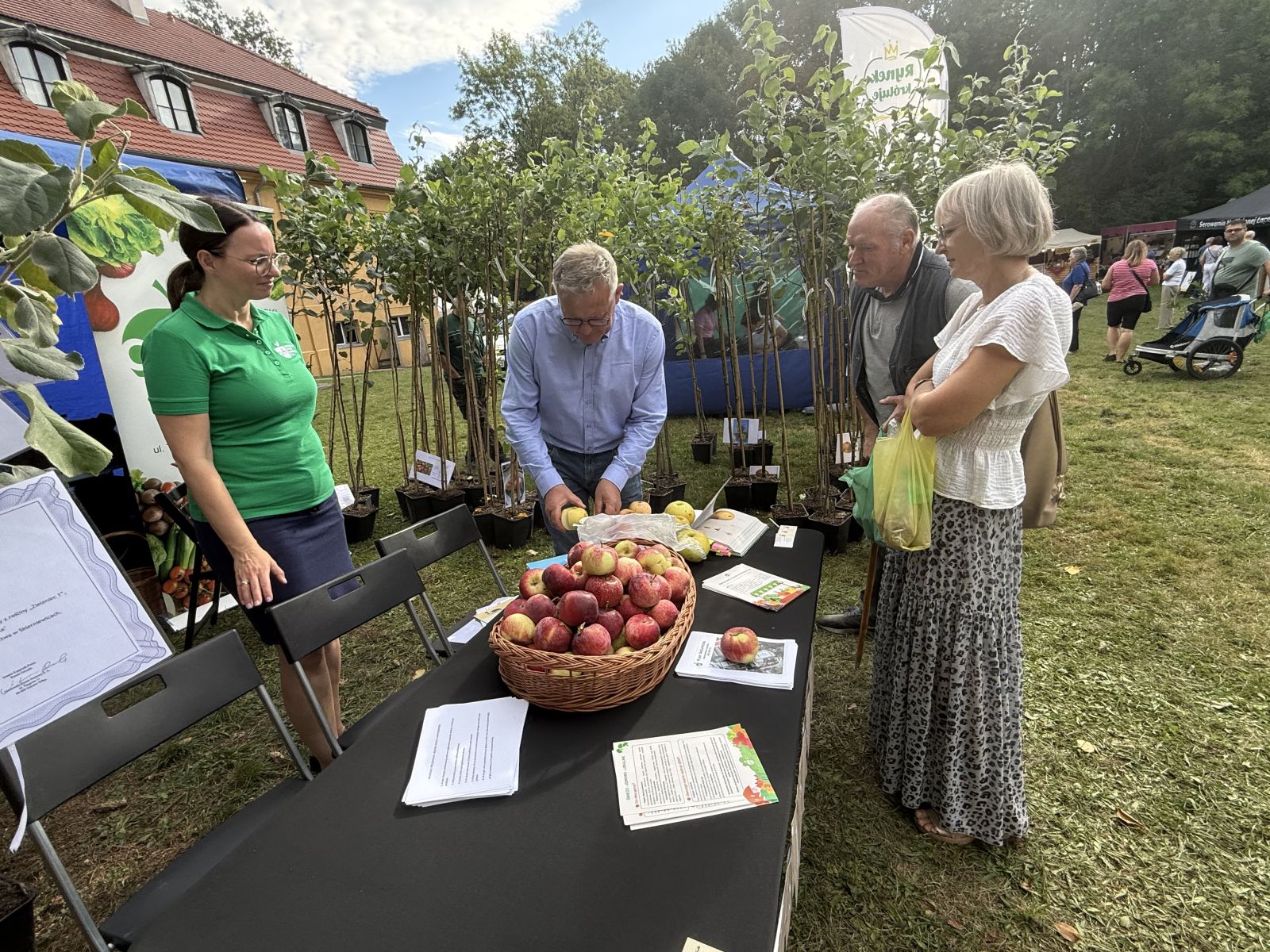 Zdjęcie: Reneta landsberska zdobywa Lubuskie