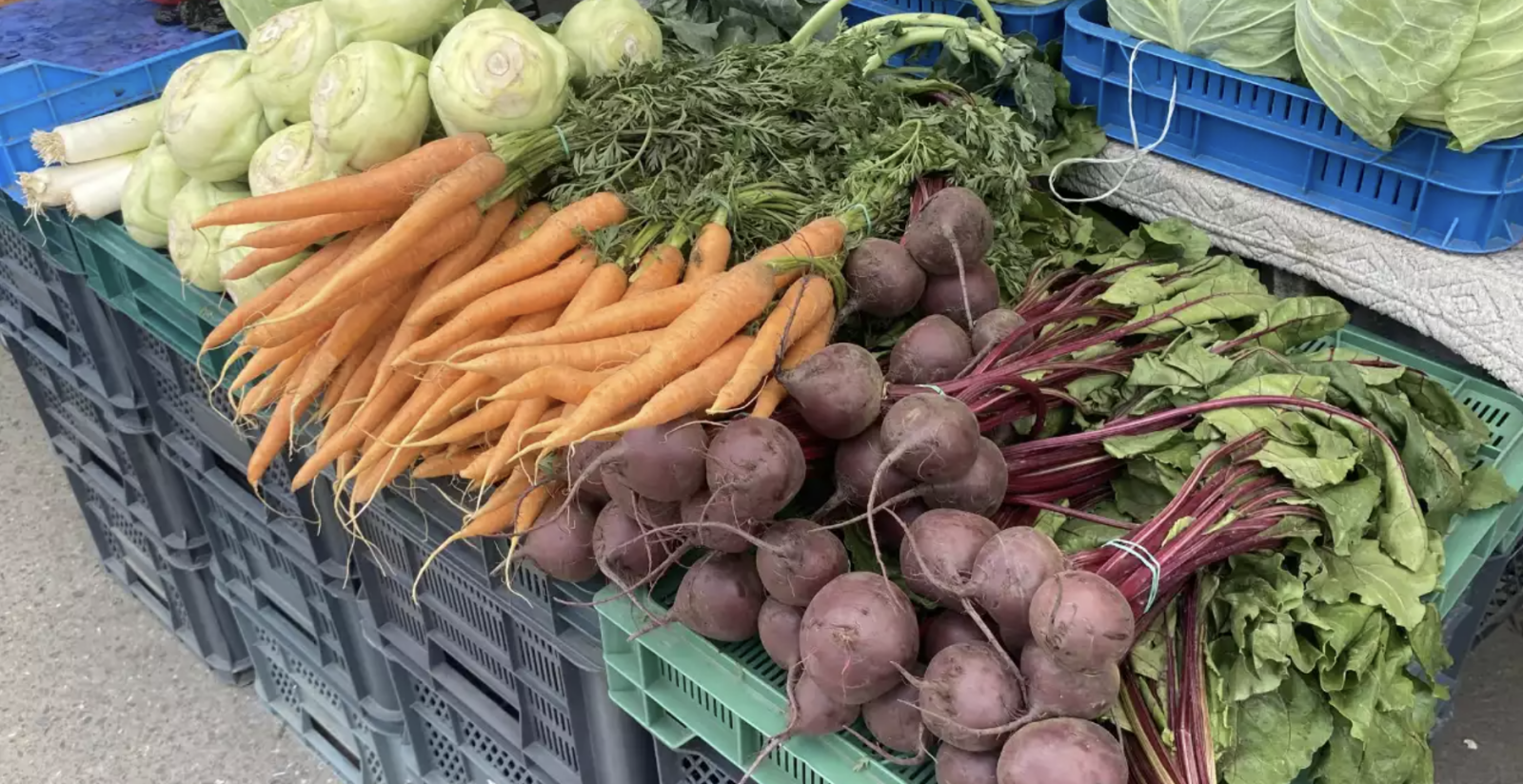 Zdjęcie: Strefa AGRO