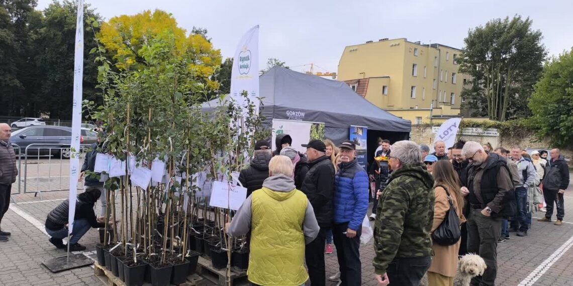 Zdjęcie: Radio Gorzów