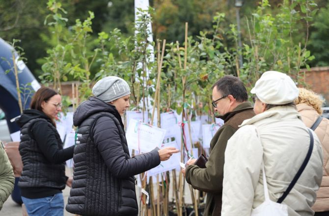 Zdjęcie: Echo Gorzowa.pl